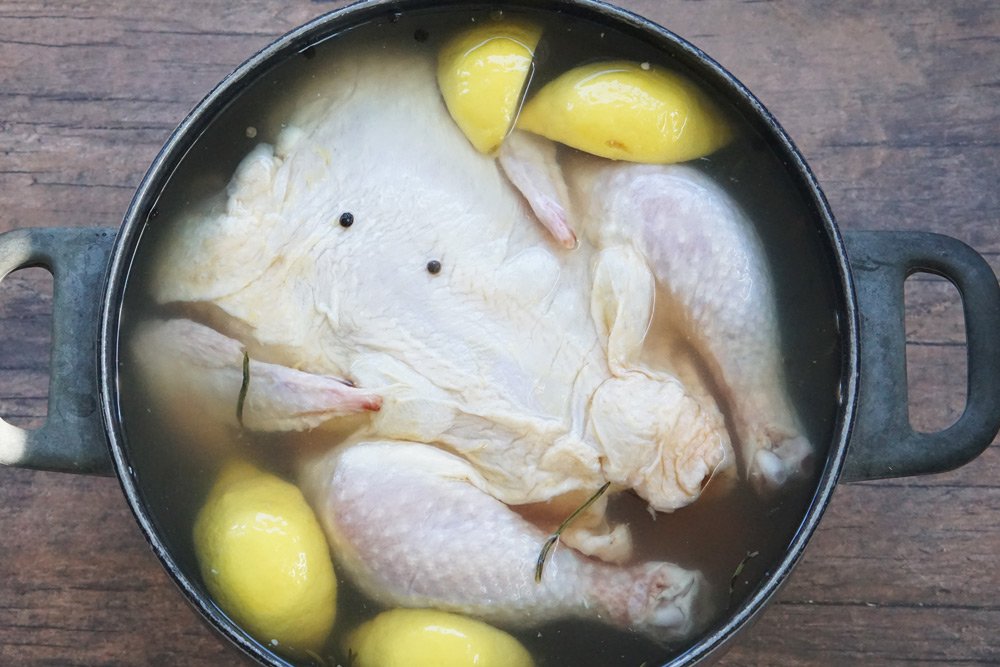 cách chọn gà đá mu lưng cách chọn gà đá mu lưng