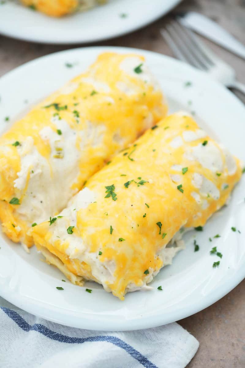 gà đá sổ 1 tỷ gà đá sổ 1 tỷ